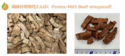 Protex-M65 Beef Stroganoff